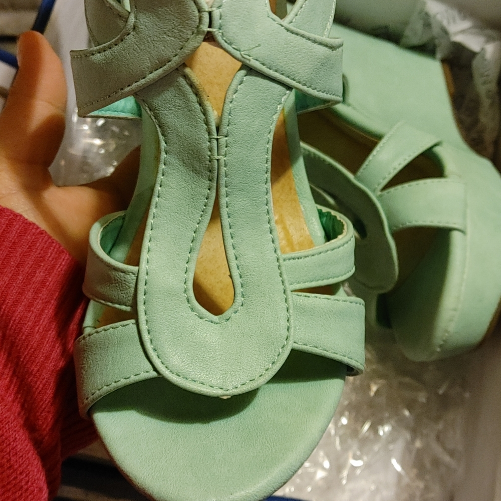 Mint color wedges